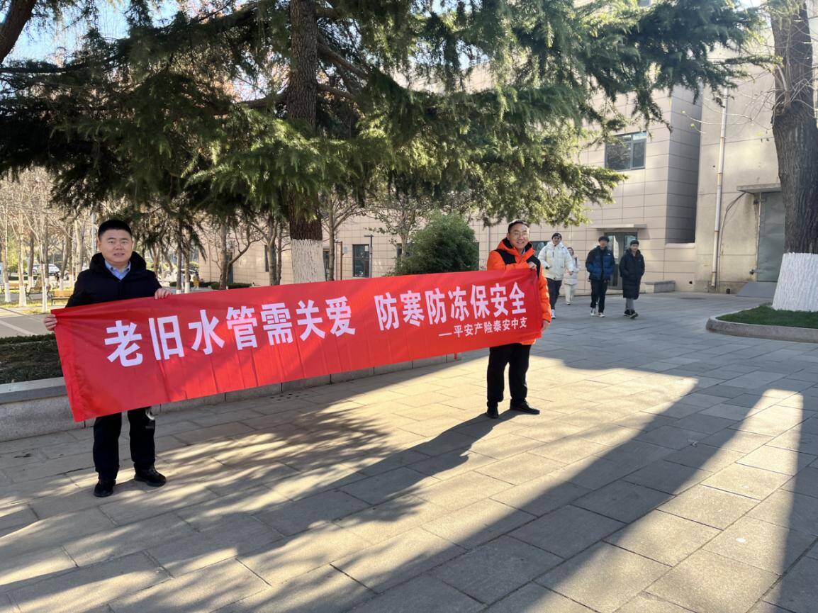山东平安产险泰安中支：开展老旧水管安全宣传助力市民防寒防冻(图1)