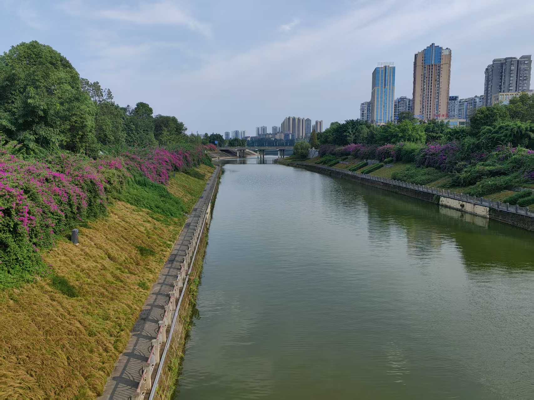 爱体育网址加快城市排水管网建设补齐雨污分流短板｜两会线;(图5)