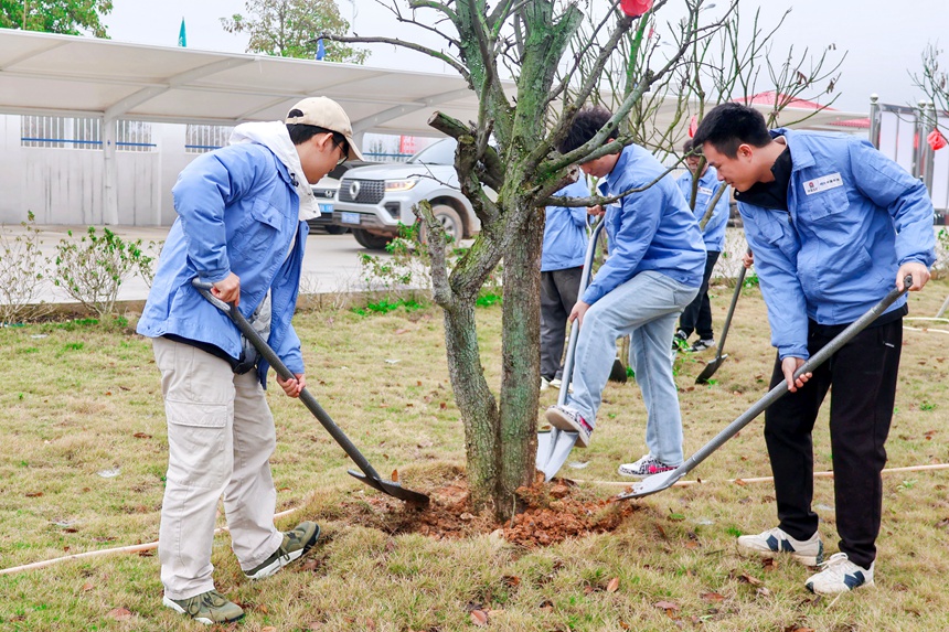 植绿添彩为工地注入“绿色活力”(图1)