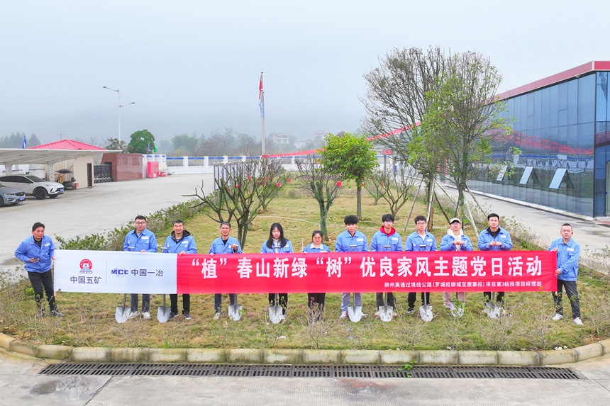植绿添彩为工地注入“绿色活力”(图3)