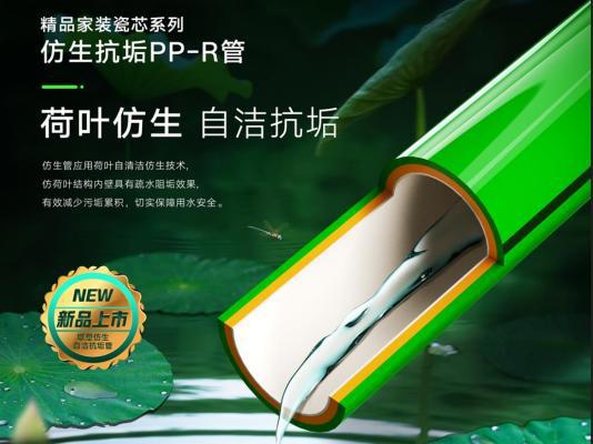 守护美爱体育APP好人居 中国联塑创新构筑品质生活新范式(图3)