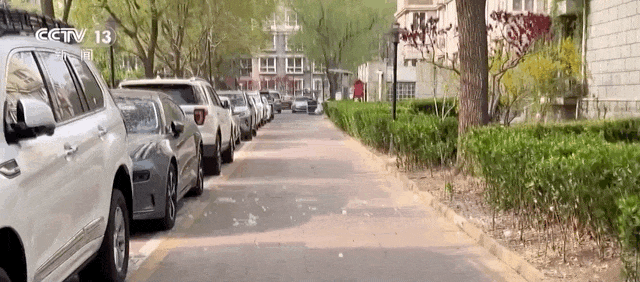 周六风力达到最强丨周日起“天津之眼”暂停运营丨这些演出临时取消丨漫天“飞雪”季 小心车辆也“过敏”(图1)